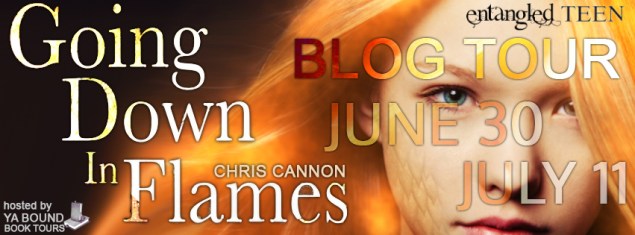 Chris Cannon Blog Tour