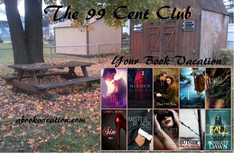 Your Book Vacation 116