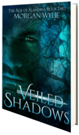 Veiled Shadows
